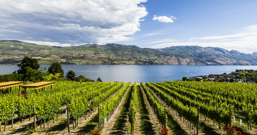 LOPOTA | LAKE RESORT & SPA